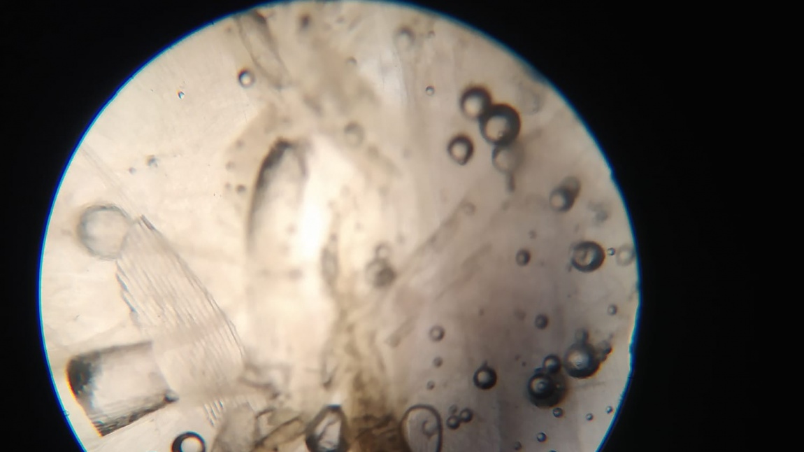 Mikroskop İncelemesi
